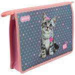 Папка на блискавці Kite Studio Pets SP23-428, A4+