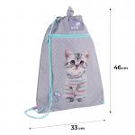 Школьный набор Kite Education Studio Pets SET_SP26-724S (рюкзак, пенал, сумка)