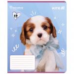 Зошит шкільний Kite Rachael Hale R25-232, 12 аркушів, клітинка