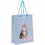 Пакет паперовий подарунковий Kite Studio Pets SP25-265, 18х24см