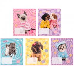 Зошит шкільний Kite Studio Pets SP25-232, 12 аркушів, клітинка
