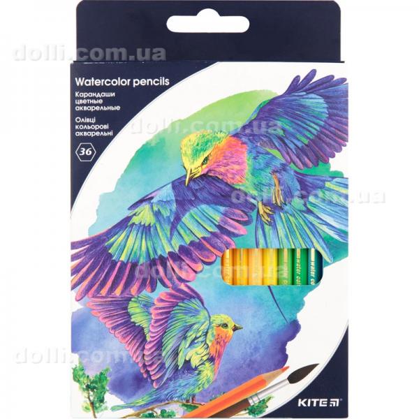 Олівці кольорові акварельні Kite K18-1052, 36 шт.