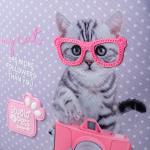 Шкільний набір Kite Studio Pets SET_SP24-763S (рюкзак, пенал, сумка)