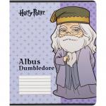Тетрадь школьная Kite Harry Potter HP25-232-1, 12 листов, клетка