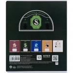 Тетрадь школьная Kite Harry Potter HP24-234, 12 листов, в линию