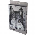Підставка для книг Kite Wolf K24-390-2, металева