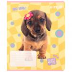 Зошит шкільний Kite Studio Pets SP25-232, 12 аркушів, клітинка