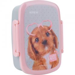 Ланчбокс с наполнением Kite Studio Pets SP22-163, 750 мл