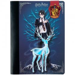 Блокнот з магнітною закладкою Kite Harry Potter HP25-19, А5, 60 аркушів, клітинка