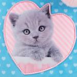Рюкзак школьный каркасный Kite Education Studio Pets SP24-555S-1