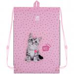 Школьный набор Kite Education Studio Pets SET_SP25-555S-1 (рюкзак, пенал, сумка)