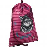 Сумка для сменной обуви и спортивной формы Kite Fluffy Racoon K19-600S-1