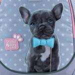 Школьный набор Kite Studio Pets SET_SP24-700M (рюкзак, пенал, сумка)