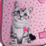 Рюкзак шкільний каркасний Kite Education Studio Pets SP25-555S-1