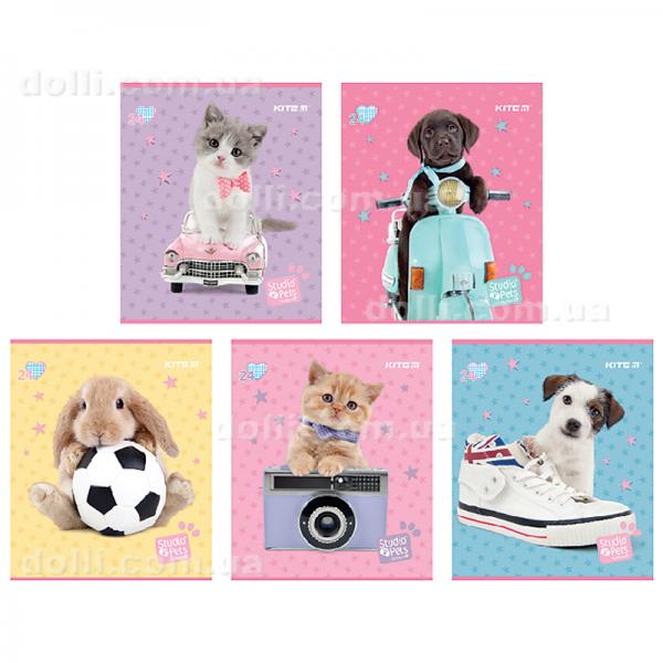 Зошит шкільний Kite Studio Pets SP24-238, 24 аркуша, клітинка