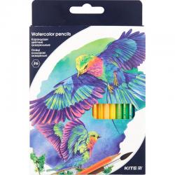 Олівці кольорові акварельні Kite K18-1052, 36 шт.