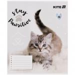Зошит шкільний Kite Rachael Hale R25-235, 12 аркушів, коса лінія