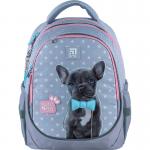 Школьный набор Kite Studio Pets SET_SP24-700M (рюкзак, пенал, сумка)