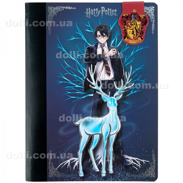 Блокнот с магнитной закладкой Kite Harry Potter HP25-192, А5, 60 листов, клетка