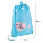 Школьный набор Kite Studio Pets SET_SP24-555S-1 (рюкзак, пенал, сумка)