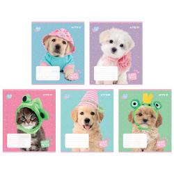 Тетрадь школьная Kite Studio Pets SP24-236, 18 листов, клетка