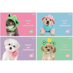 Зошит для малювання Kite Studio Pets SP24-242, 24 аркуша