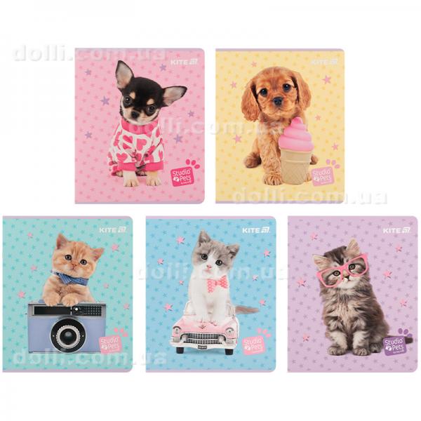 Тетрадь школьная Kite Studio Pets SP25-238, 24 листа, клетка