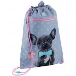 Школьный набор Kite Studio Pets SET_SP24-700M (рюкзак, пенал, сумка)