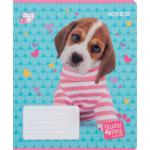 Тетрадь школьная Kite Studio Pets SP24-237, 18 листов, в линию