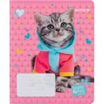 Тетрадь школьная Kite Studio Pets SP24-237, 18 листов, в линию