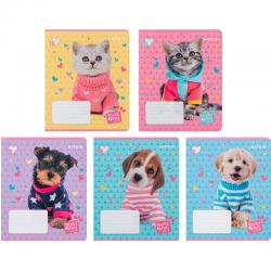 Зошит шкільний Kite Studio Pets SP24-237, 18 аркушів, лінія