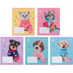 Тетрадь школьная Kite Studio Pets SP24-237, 18 листов, в линию