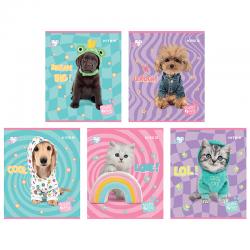 Зошит шкільний Kite Studio Pets SP24-239, 24 аркуша, лінія