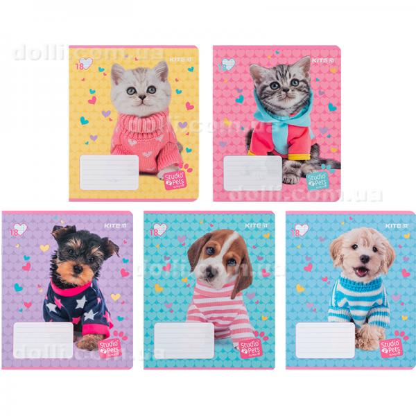 Тетрадь школьная Kite Studio Pets SP24-237, 18 листов, в линию