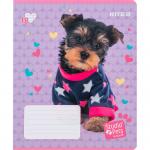 Тетрадь школьная Kite Studio Pets SP24-237, 18 листов, в линию