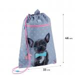 Шкільний набір Kite Studio Pets SET_SP24-763S (рюкзак, пенал, сумка)