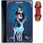 Блокнот с магнитной закладкой Kite Harry Potter HP25-192, А5, 60 листов, клетка