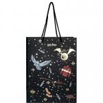 Пакет паперовий подарунковий Kite Harry Potter HP24-265, 18х24см