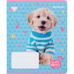 Тетрадь школьная Kite Studio Pets SP24-237, 18 листов, в линию