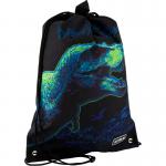 Сумка для сменной обуви и спортивной формы Kite Education Tyrannosaur K20-600M-16