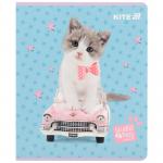 Тетрадь школьная Kite Studio Pets SP25-238, 24 листа, клетка