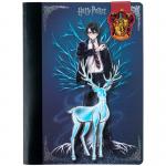 Блокнот с магнитной закладкой Kite Harry Potter HP25-192, А5, 60 листов, клетка