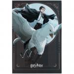 Блокнот-планшет Kite Harry Potter HP25-194-2, A5, 50 листов, клетка