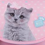 Школьный набор Kite Studio Pets SET_SP24-501S (рюкзак, пенал, сумка)