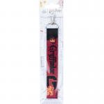 Брелок-підвіска Kite Harry Potter HP24-3000-1