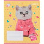 Тетрадь школьная Kite Studio Pets SP24-237, 18 листов, в линию