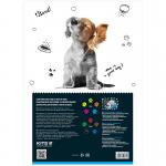 Папір кольоровий двосторонній Kite Dogs K22-288, А4