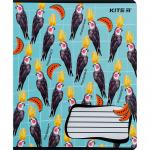 Тетрадь школьная Kite BBH K24-236-1, 18 листов, клетка