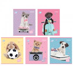 Зошит шкільний Kite Studio Pets SP24-238, 24 аркуша, клітинка