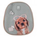 Школьный набор Kite Studio Pets SET_SP22-700M(2p)